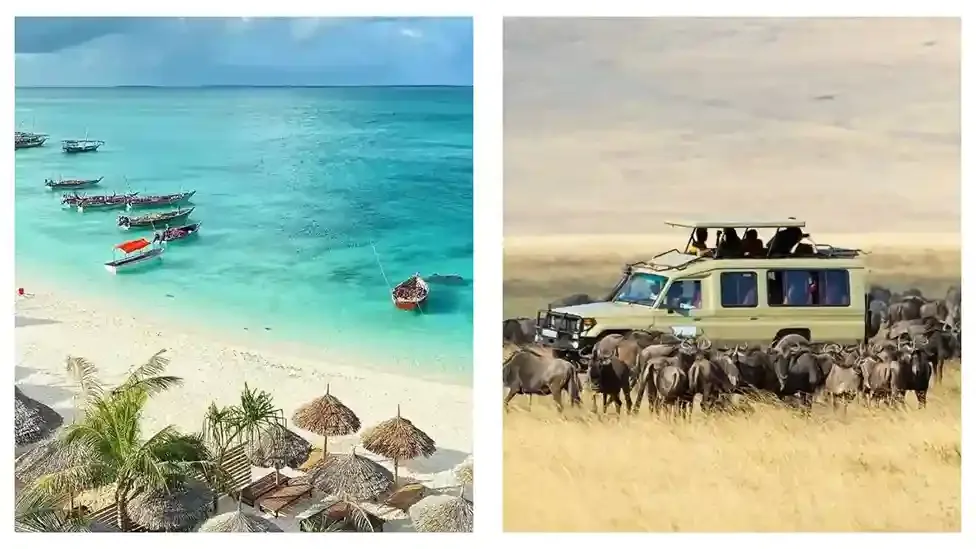 5 Days Mikumi From Zanzibar Safari