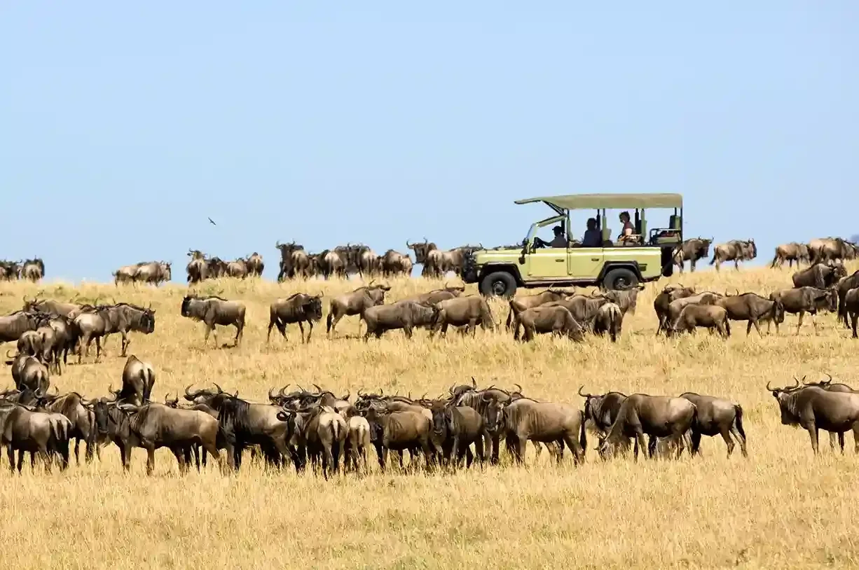5-Day Serengeti Migration & Ngorongoro Safari