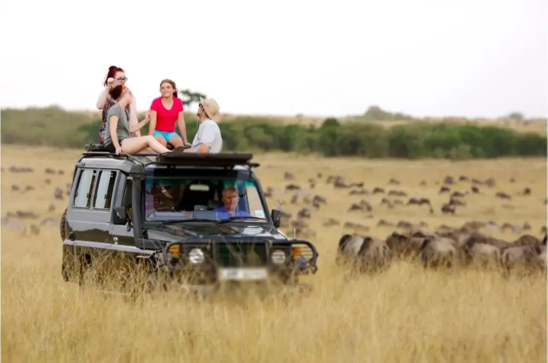 Group joining safari in Tanzania