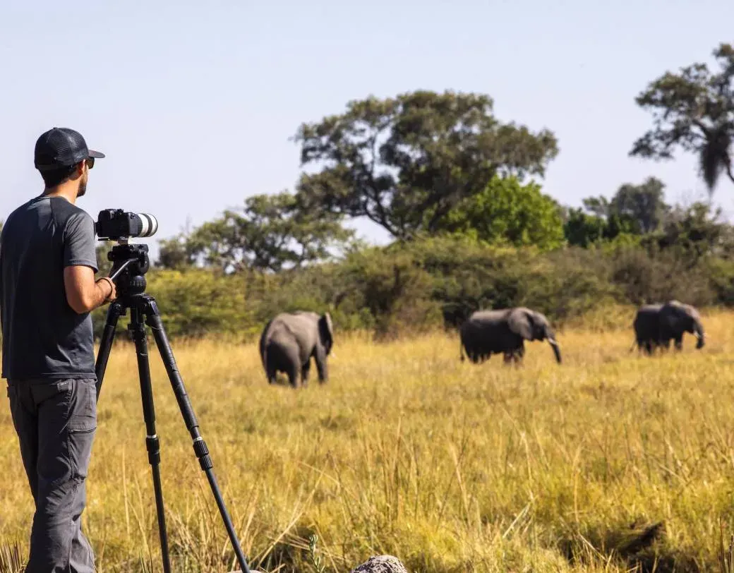 Bird photography in Tanzania featuring flamingos at Lake Manyara