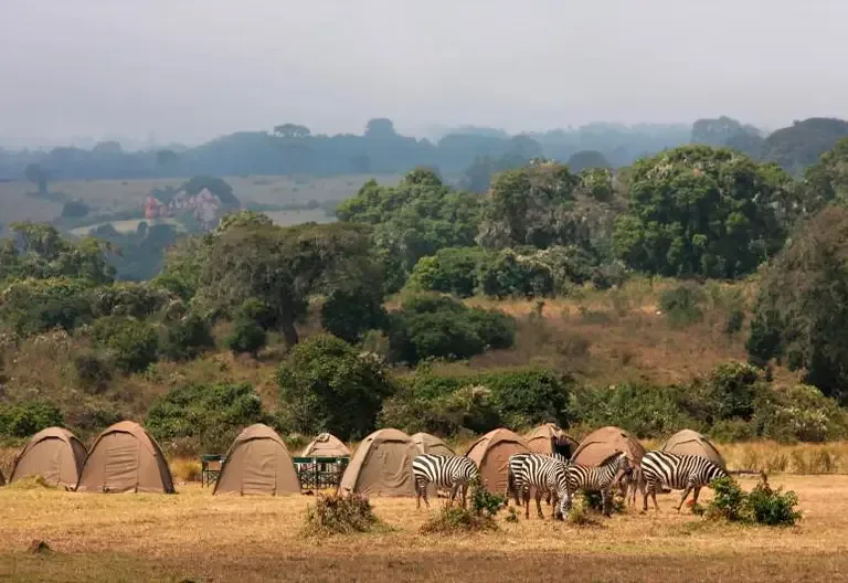 10-Day Ultimate Tanzania Camping Safari Adventure