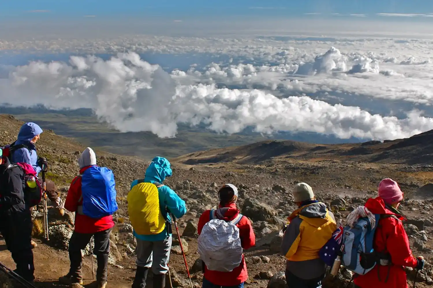 Kilimanjaro Trekking Tours