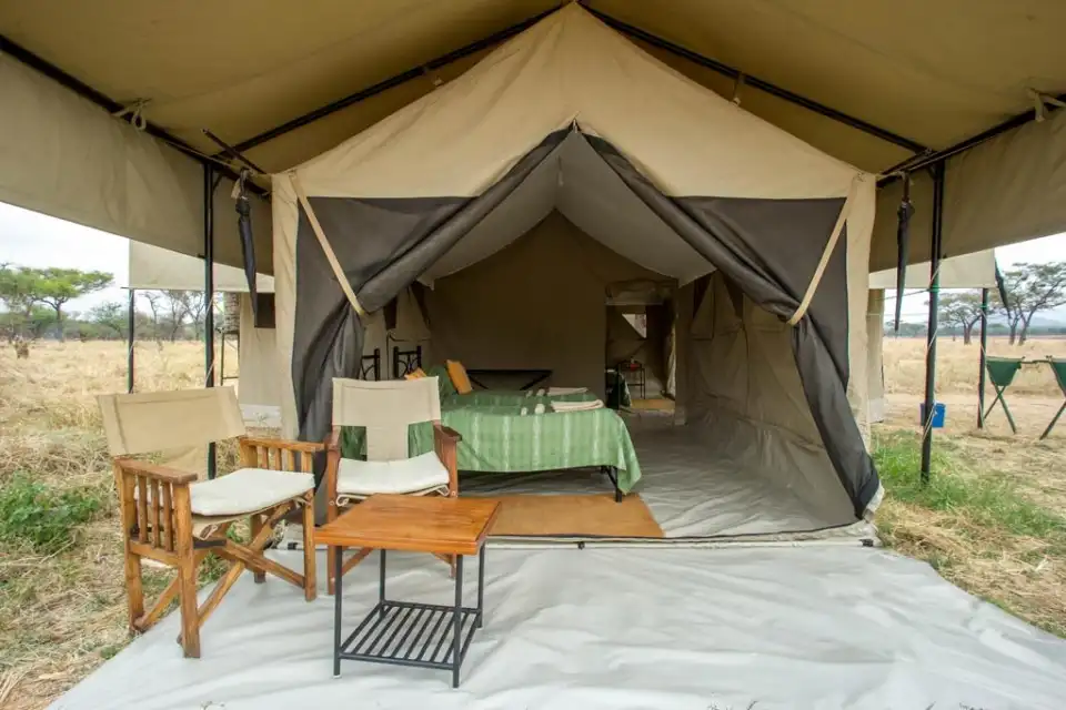 Budget safari camp in Tarangire