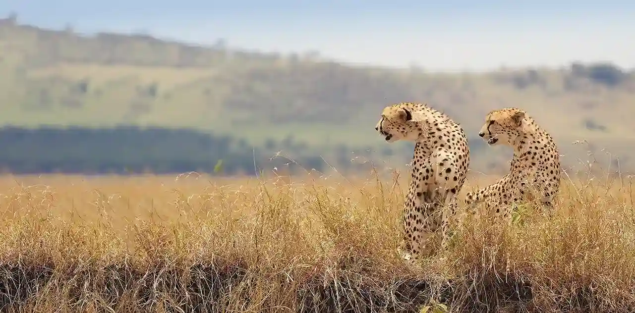 6-Day Tanzania Photography Safari – landscape and wildlife