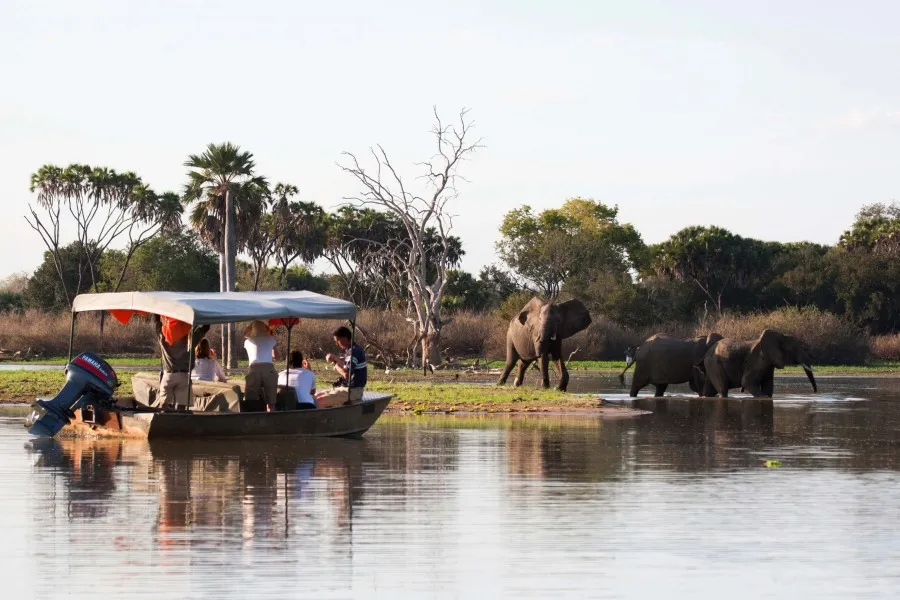 Eastern Tanzania Safaris & Coast