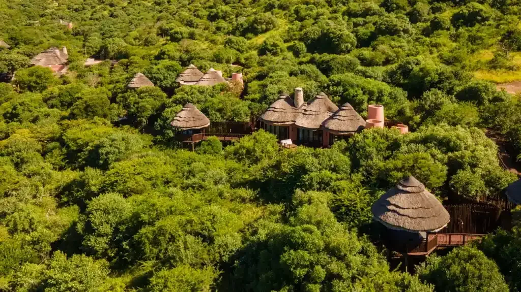 Eco-friendly safari lodge in Tanzania with sustainable design and wildlife views