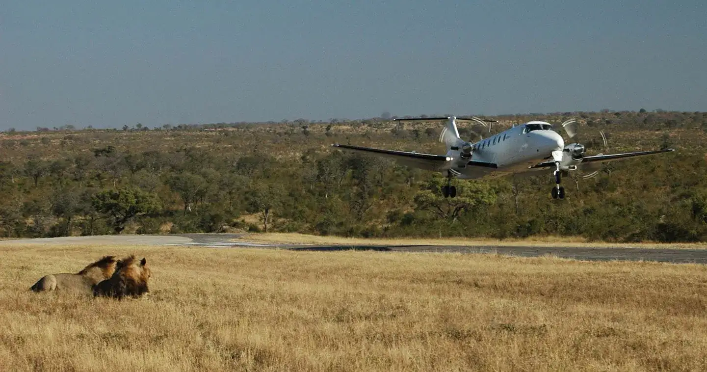 3-Day Fly-In Serengeti Luxury Safari