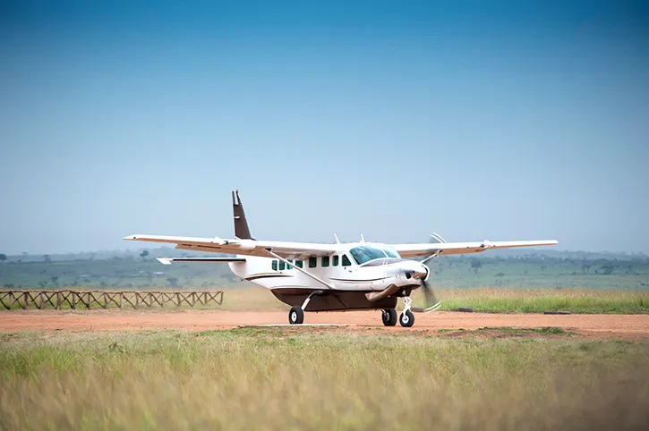 Wildlife in Serengeti during a May Tanzania Safari
