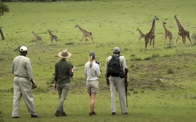 Guided walking safari in Tanzania wilderness