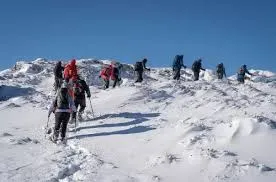 8-Day Lemosho Route Kilimanjaro Expedition