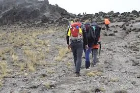 9-Day Northern Circuit Route Kilimanjaro Trek