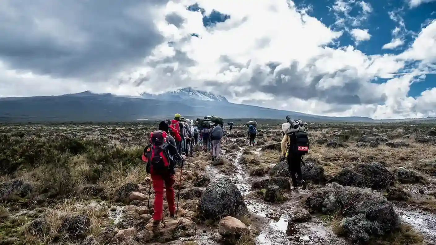 6-Day Machame Route Climb