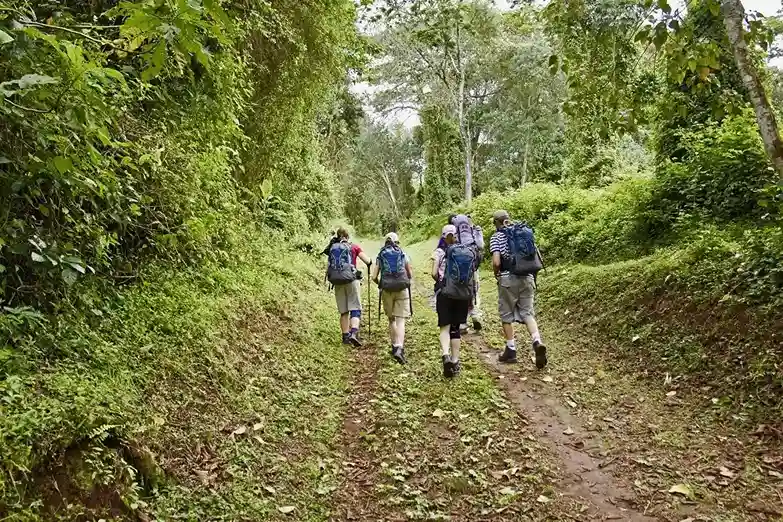 7-Day Machame Route Climb