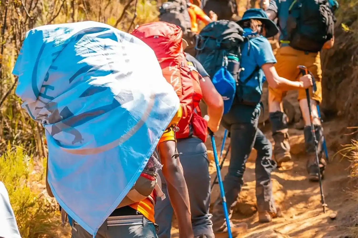 Trekking poles for Kilimanjaro