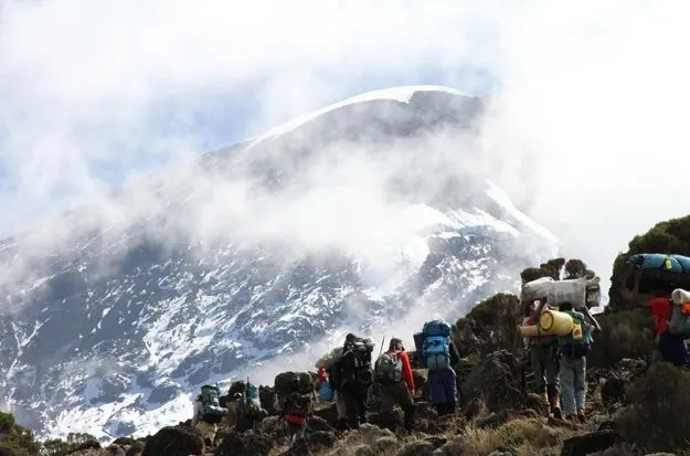 Causes of death during Kilimanjaro climbs
