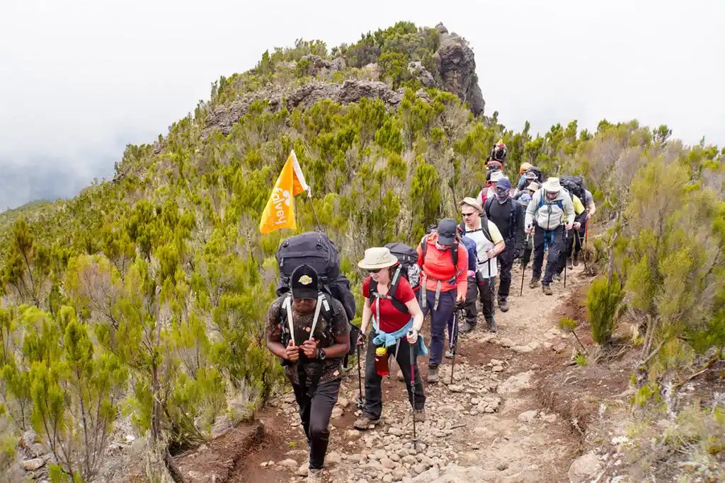 Safest routes for climbing Kilimanjaro