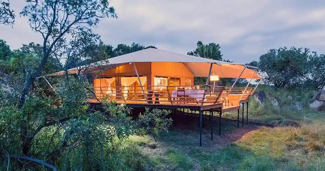 10-Day Luxury Tanzania Safari and Zanzibar Escape – safari experience