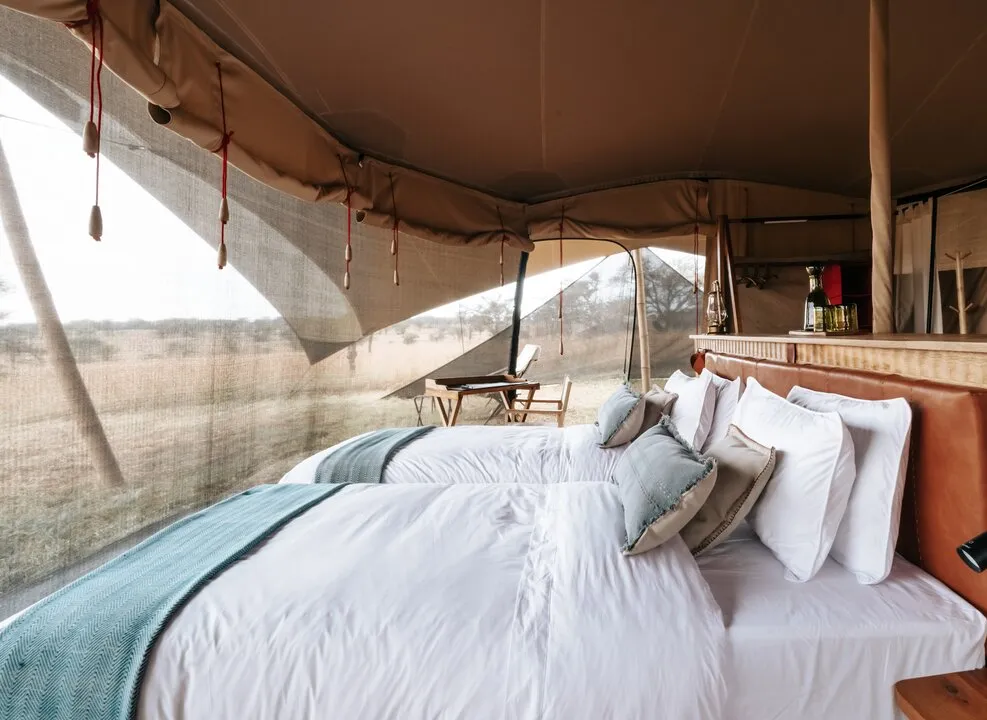 Luxury safari lodges in January