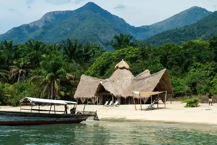 Chimpanzee trekking in Mahale Mountains National Park