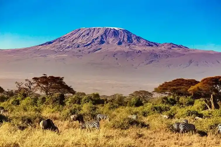 Stunning view of Mount Kilimanjaro with Capable Africa Tours