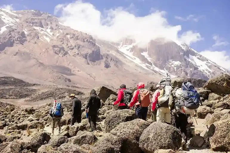 Trekking Mount Kilimanjaro via Lemosho Route