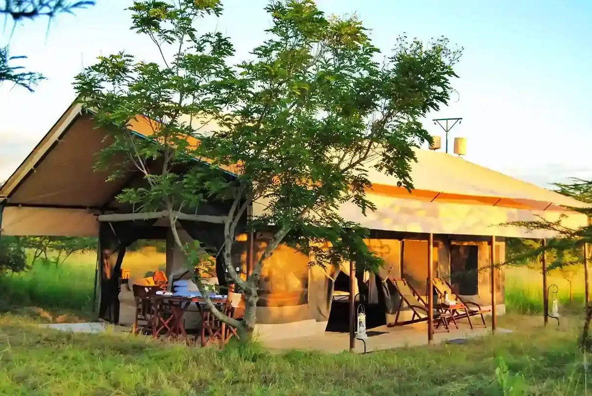 Ngorongoro Mobile Camp in Ndutu region