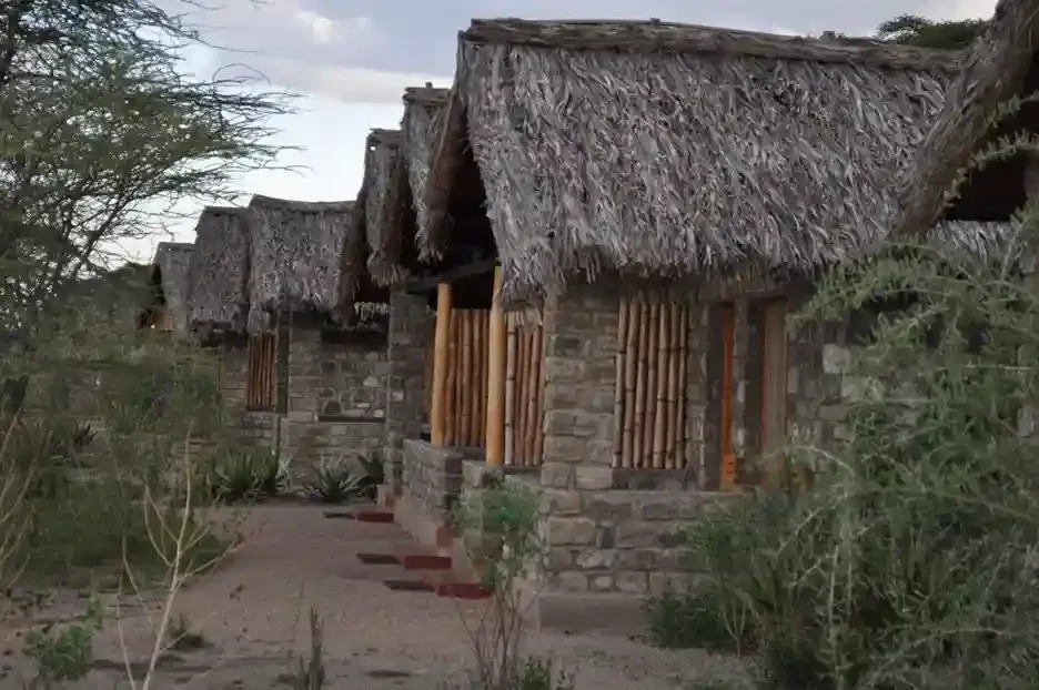 Ndutu Safari Lodge near Serengeti Migration Safari routes