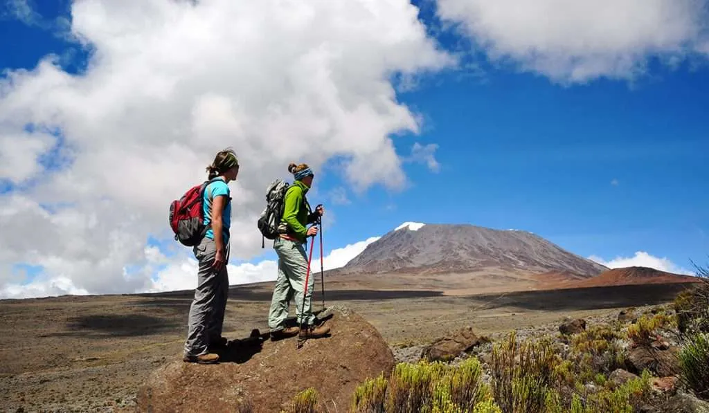 Charity group climbing Kilimanjaro