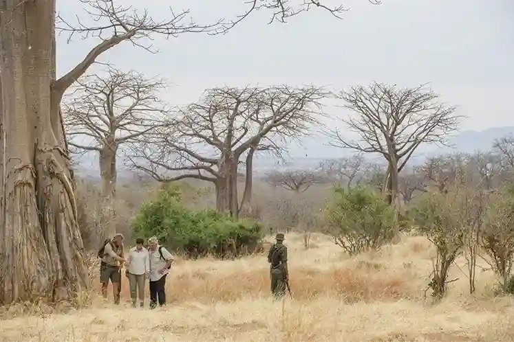 3-Day Ruaha National Park Safari