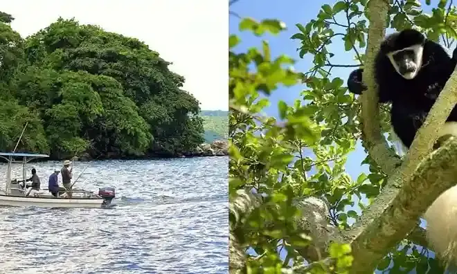 Birdwatching in Ngorongoro Crater