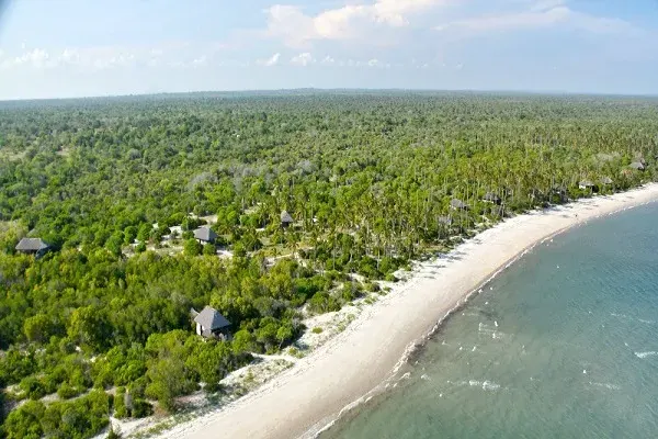 Game drive in Mikumi National Park