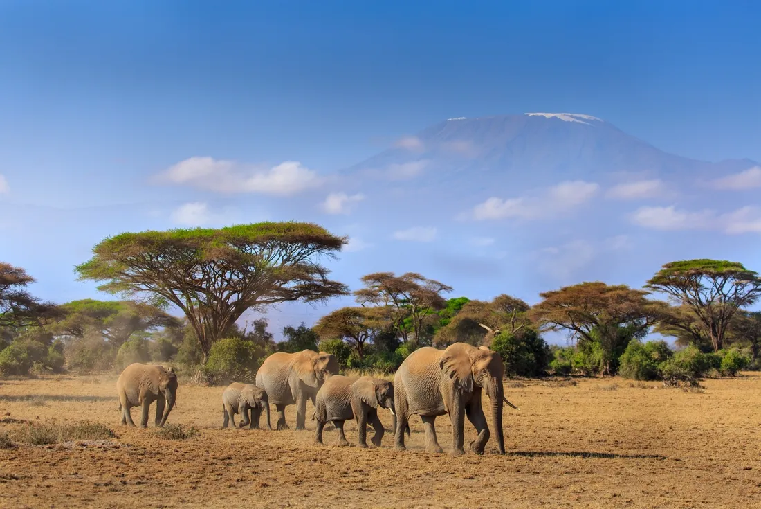 Serengeti & Kilimanjaro Trek Packages