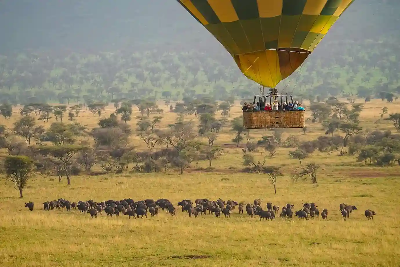 Sunrise Hot-Air Balloon Ride Over Serengeti