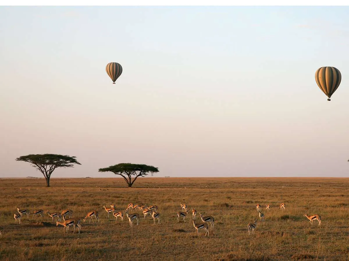 Bush Breakfast in Serengeti National Park