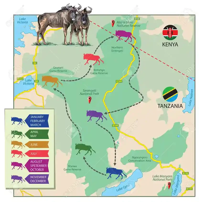Serengeti Migration Map
