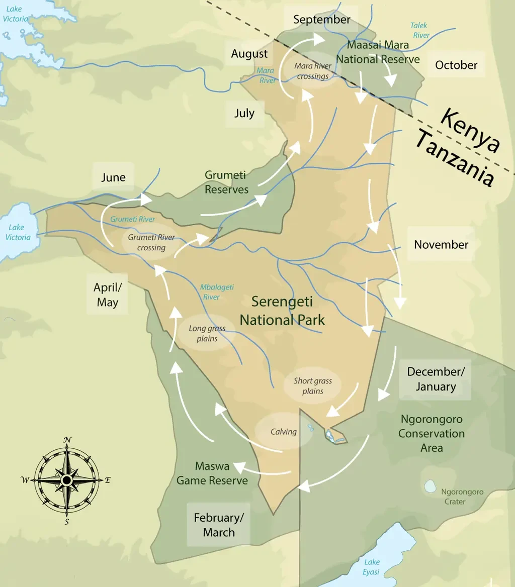 Serengeti Migration Cycle
