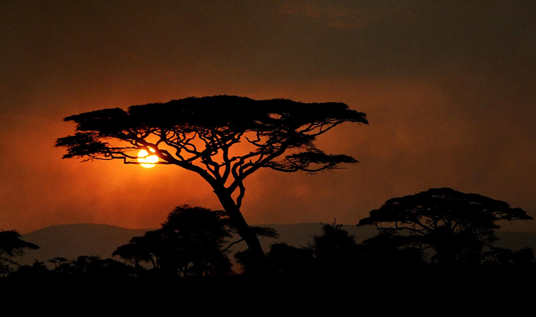 Serengeti Sunset