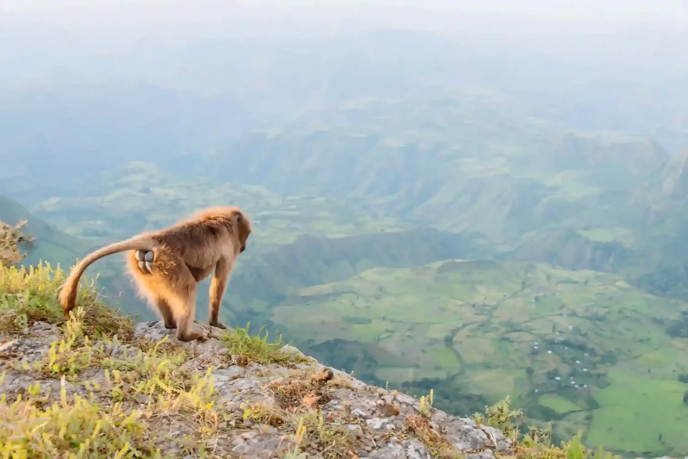 Simien Mountains, Ethiopia – Trekking Ancient Landscapes