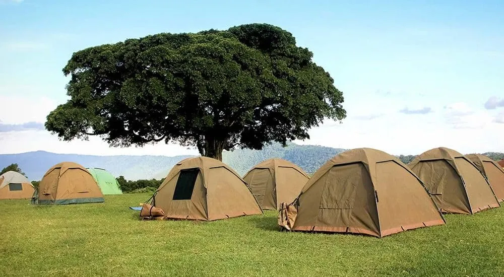 4-Day Serengeti & Ngorongoro Group Tour