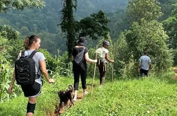 Best Day Trips from Moshi