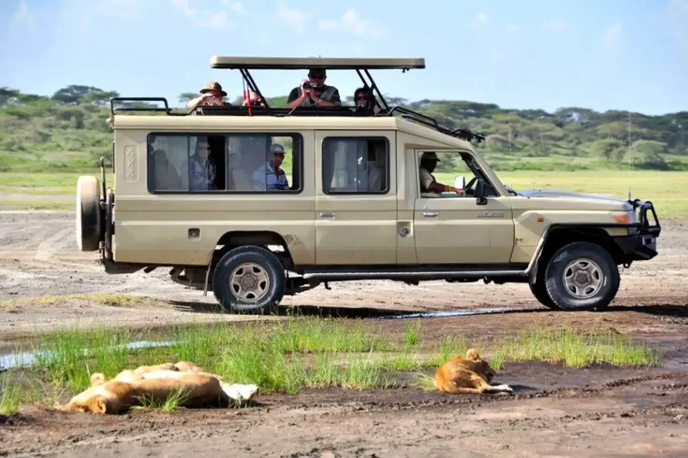 Tanzania Joining Safari Packages