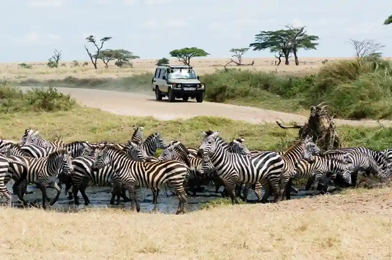 Selous Game Reserve Day Trip