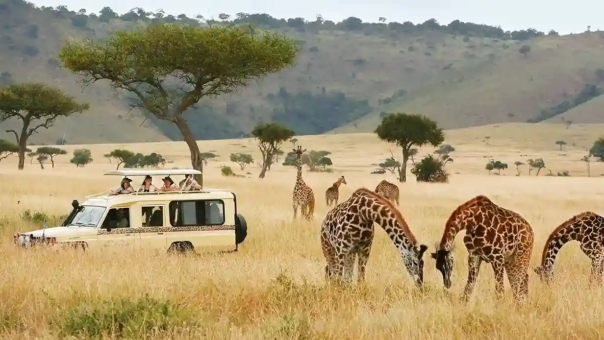 Budget & Group Serengeti Tours