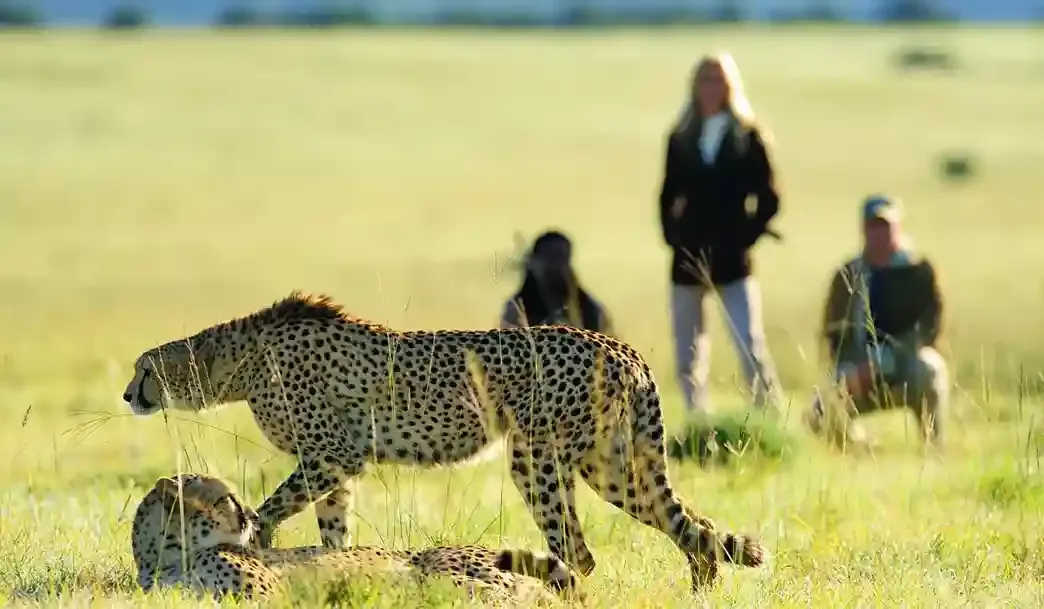 Walking safaris in Tanzania