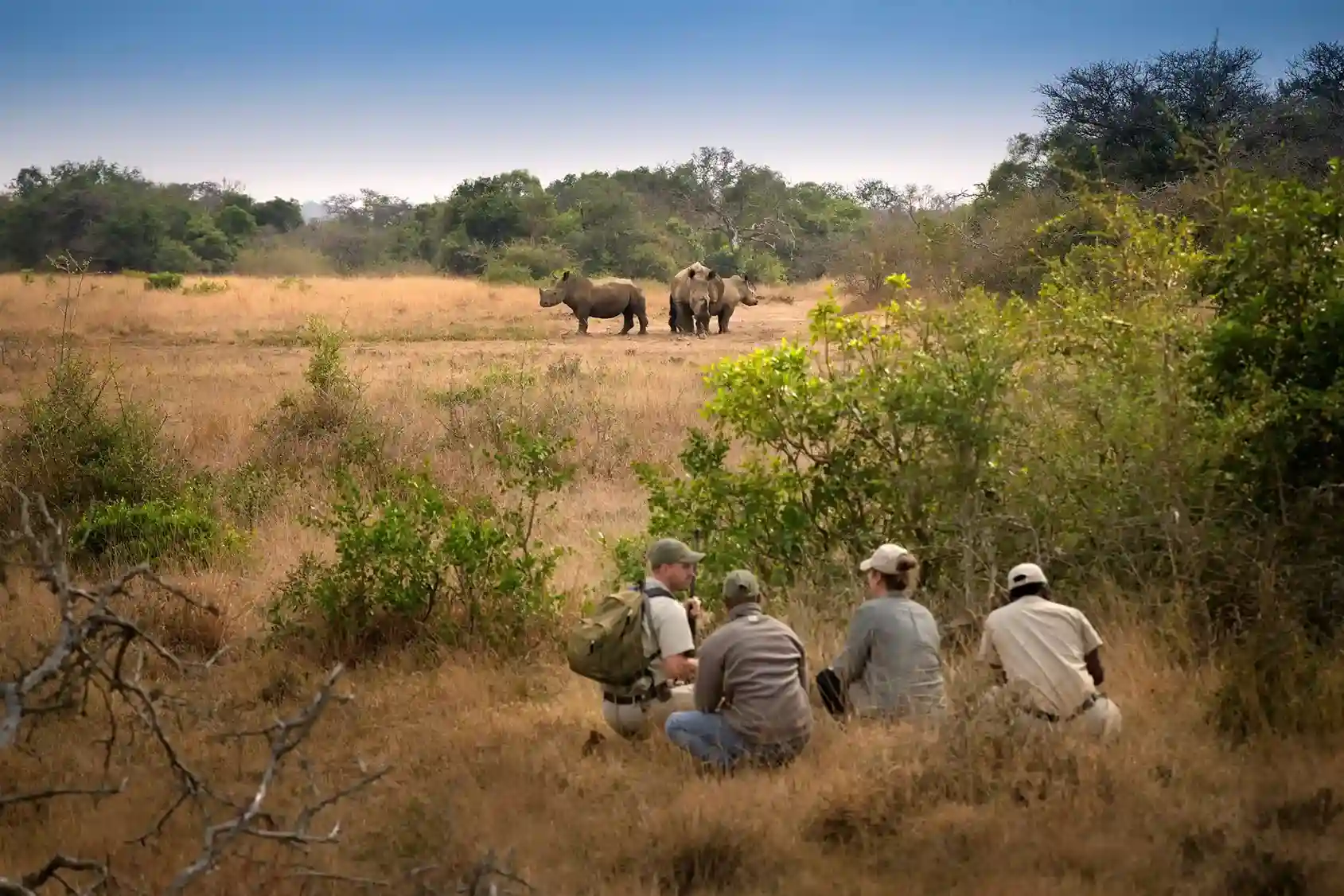 Walking trail in Serengeti