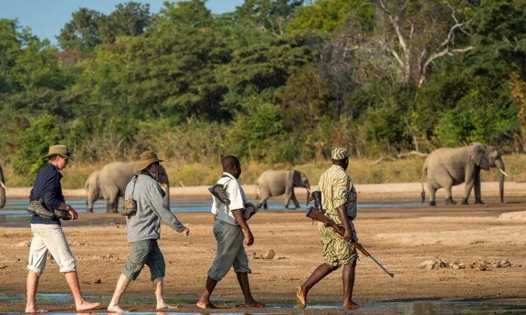 7-Day Northern Circuit Safari April adventures