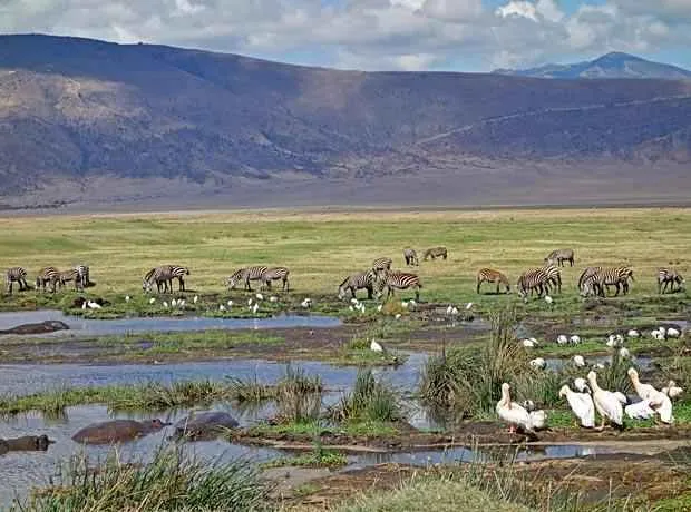 6-Day Tanzania Safari from Arusha – second safari habitat