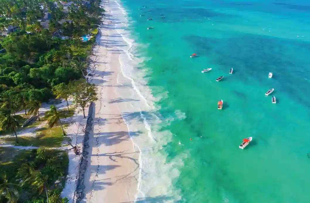 Zanzibar Holiday Tour Guide