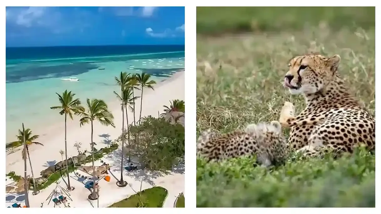 7-Day Tanzania Safari & Zanzibar Tour 